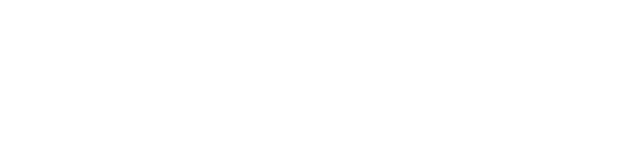 NanoDefense Pro Logo